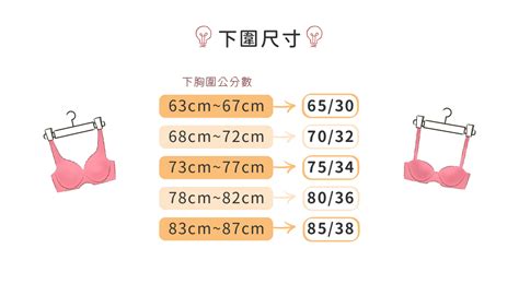 胸圍數字意思|【內衣尺寸對照表】胸圍怎麼量？內衣尺寸替代換算表。